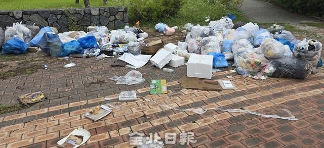 전주시 덕진구의 한 광장에 쌓여있는 쓰레기들. 김문경 기자