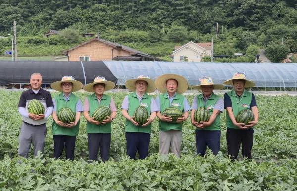 봉화군 재산면의 수박재배 현장에서 김주령 경북도농축산유통국장과 박현국 봉화군수 등이 수확한 수박을 들어보이고 있다.