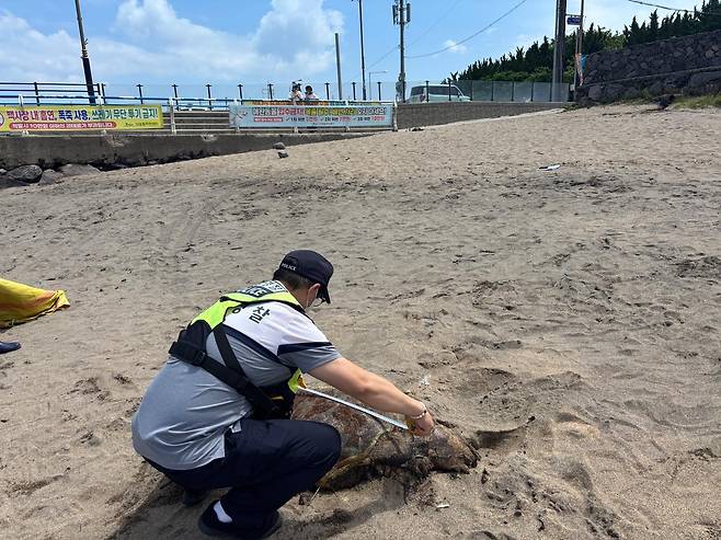 사진 제주해양경찰서 제공