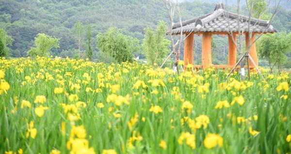 사진=거창창포원