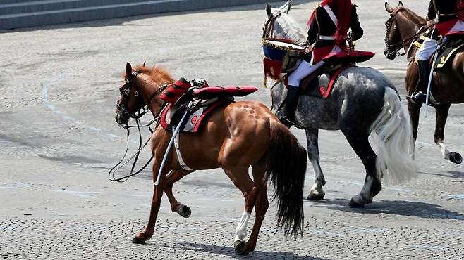 14일(현지시간) 프랑스 혁명기념일 군사 행진 도중 기병 연대 소속 말 한 필이 기병 없이 홀로 행진하고 있다. AP연합뉴스