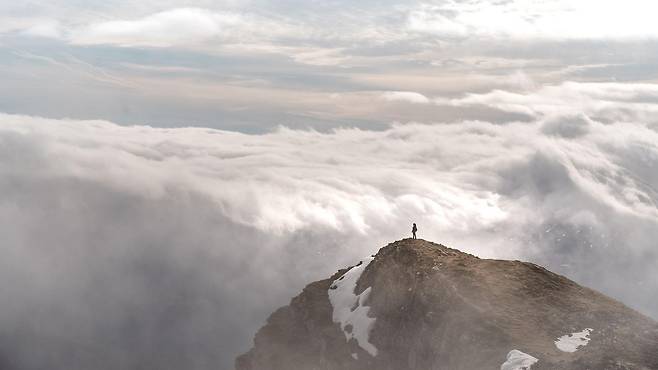 타인에 대한 면역 반응은 고통스러운 결과를 초래할 수 있다