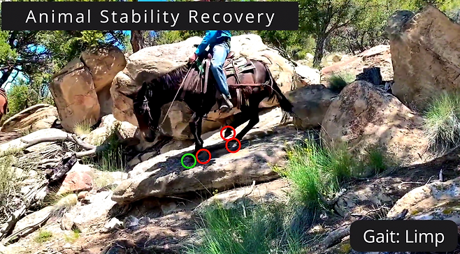 영국 연구팀이 동물의 보행에서 영감을 받아, 지형에 따라 스스로 걸음을 조절하는 네 발 로봇을 개발했다. 이 로봇은 풀밭, 자갈길, 진흙 등 다양한 바닥에서도 넘어지지 않고 자연스럽게 걸을 수 있다. (영상= 네이처 머신 인텔리전스)