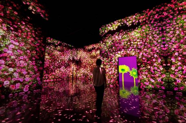 제주도 애월의 아르떼 뮤지엄에서 한 관람객이 미디어아트를 감상하고 있다. ADT캡스는 어두운 공간에서도 감지가 통합 보안 시스템을 이 뮤지엄에 구축했다. ADT캡스 제공