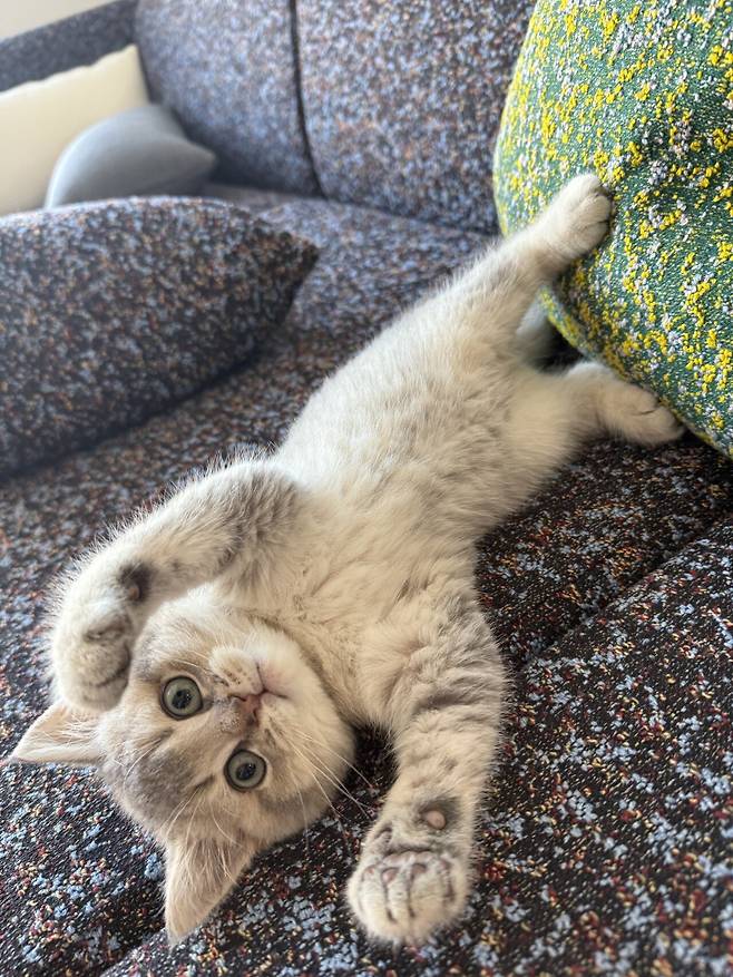 우리집 새로운 가족