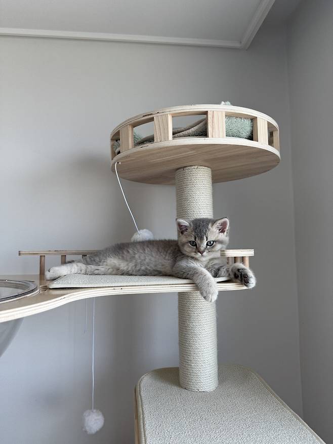 우리집 새로운 가족