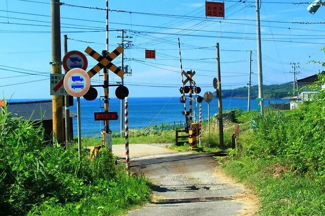 IMG_1849.jpeg 일본 시골 여름풍경 특징