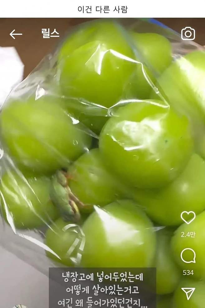 샤인머스캣에서 개구리 나온 사람 ㅋㅋㅋㅋ ...jpg 샤인머스캣에서 개구리 나온 사람 ㅋㅋㅋㅋ ...jpg