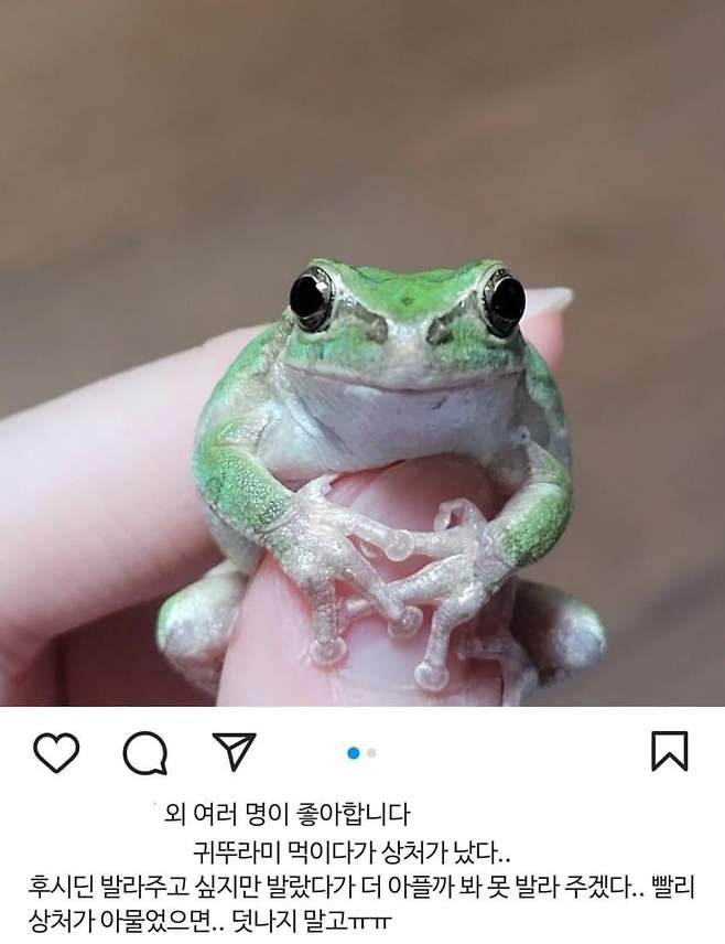 샤인머스캣에서 개구리 나온 사람 ㅋㅋㅋㅋ ...jpg 샤인머스캣에서 개구리 나온 사람 ㅋㅋㅋㅋ ...jpg