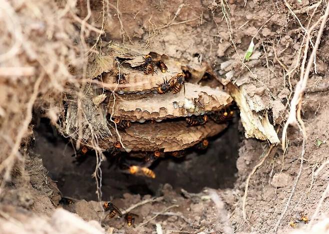 한겨레 자료사진.