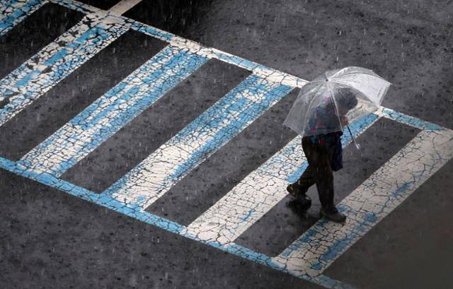 14일 오후 대전시 서구 둔산동 보라매공원을 지나는 시민들이 비를 피하기 위해 우산을 쓰고 있다. 연합뉴스