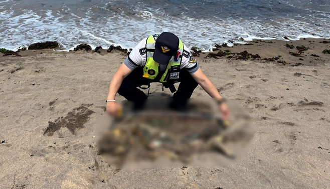 제주해양경찰서 제공