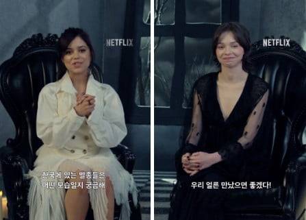 /사진=넷플릭스