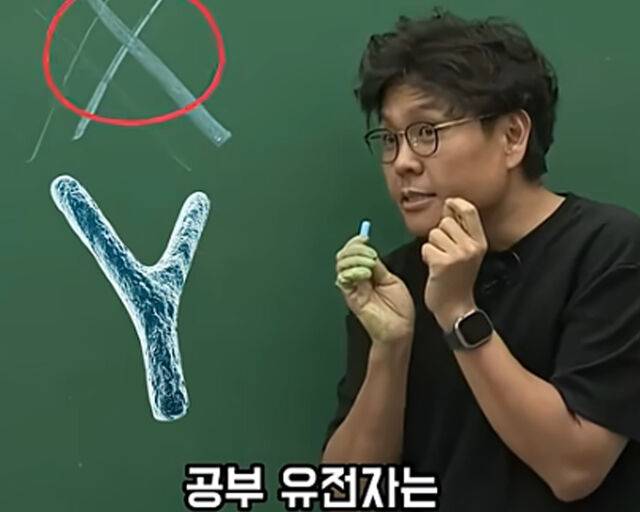 공부 유전자는 X 염색체에만 있는 것으로 드러났다. / 유튜브 '생선꾹'