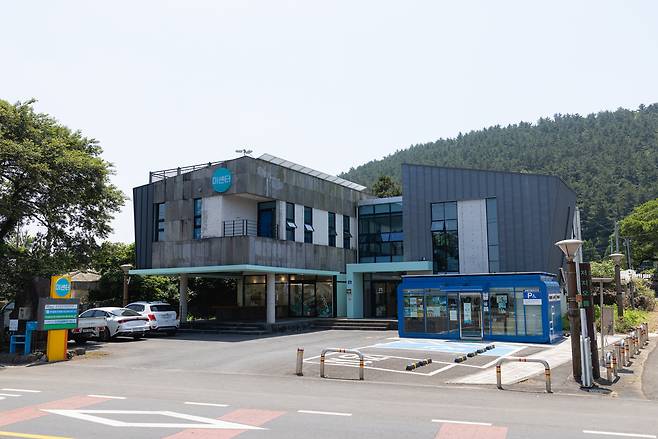 제주 저지리 덤부리스테이