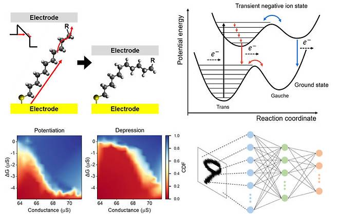분자 멤리스터의 구동 원리 및 인공시냅스 특성. (사진=서강대 제공) *재판매 및 DB 금지
