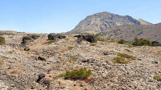 한라산 모세왓 유문암질 각력암 지대 전경