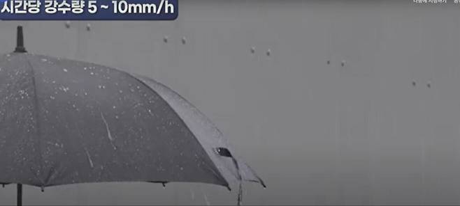 시간당 강우량이 5~10㎜ 일 때 우산에 떨어지는 빗방울의 모습. 기상청 동영상 캡처