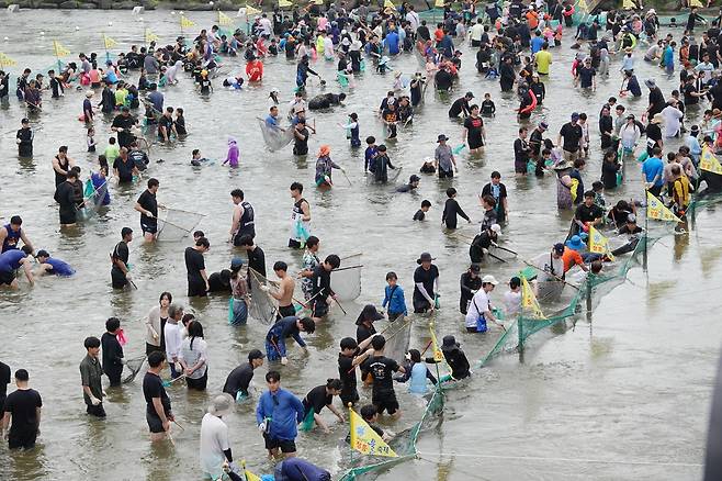 황금물고기잡기