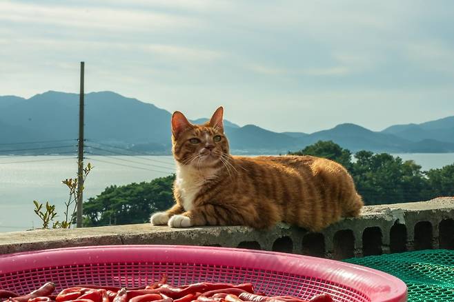 사진제공=NEW, 스튜디오N