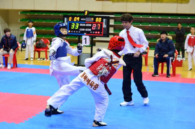 지난해 열린 대회 참가 선수들이 겨루기를 하고 있다. 영주시 제공