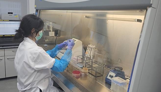 대구시 보건환경연구원에서 식중독 검사가 진행되고 있다. 대구시 보건환경연구원 제공
