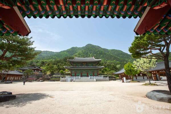 동의보감촌 (ⓒ한국관광공사 포토코리아-송재근)