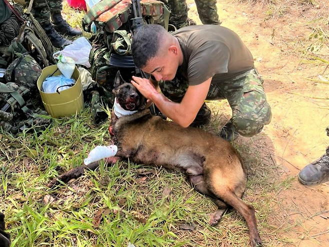 출처=인스타그램(ejercitonacionalcolombia)