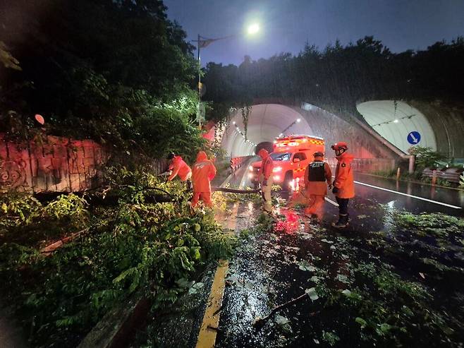 16일 오후 인천시 부평구 산곡동 도로에 나무가 쓰러져 소방 당국이 안전 조치하고 있다. 연합뉴스
