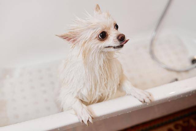 게티이미지뱅크