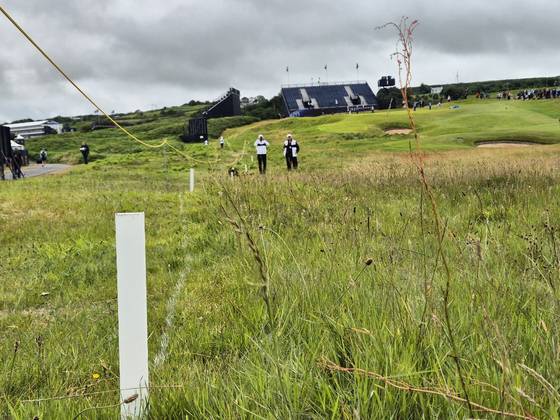 2019년 로리 매킬로이의 꿈을 앗아간 로열 포트러시 1번 홀 왼쪽에 꽂힌 OB말뚝. 성호준 기자