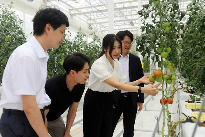 온실 3중 열병합발전 시스템을 실증 중인 한국기계연구원 미래농생명공학연구단 및 무탄소발전연구실 연구팀(왼쪽부터 김영상 책임연구원, 박진영 선임연구원, 박혜리 인턴, 이상민 미래농생명공학연구단장). 한국기계연구원