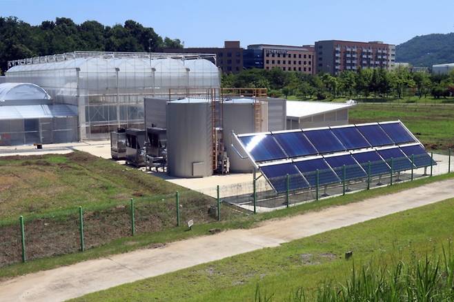 온실 3중 열병합발전 시스템을 실증하는 농촌진흥청 국립농업과학원 온실. 한국기계연구원