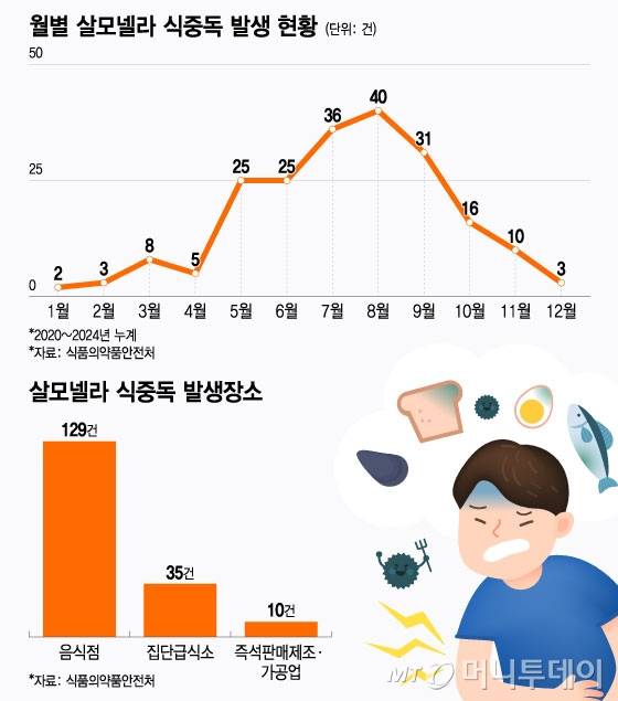 월별 살모넬라 식중독 발생 현황./그래픽=윤선정 디자인기자.