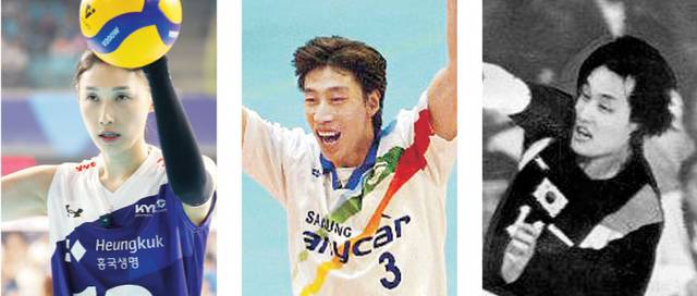 왼쪽 사진부터 김연경, 김세진, 강만수.