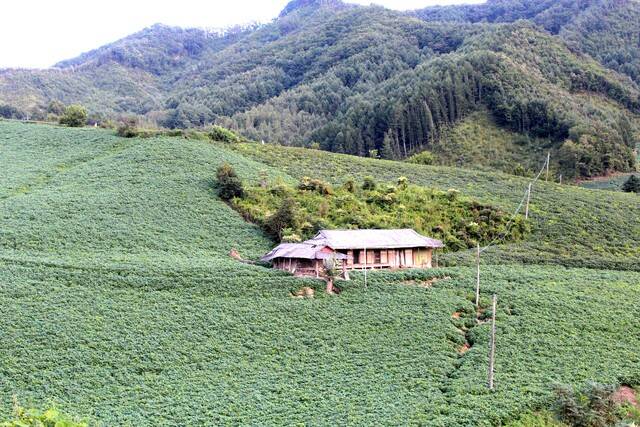 조용히 살겠다는 생각에 도시 생활을 정리하고 시골로 왔지만 살던 곳 아파트값 오르는 것을 보며 속 쓰려 하는 사람이 많다.