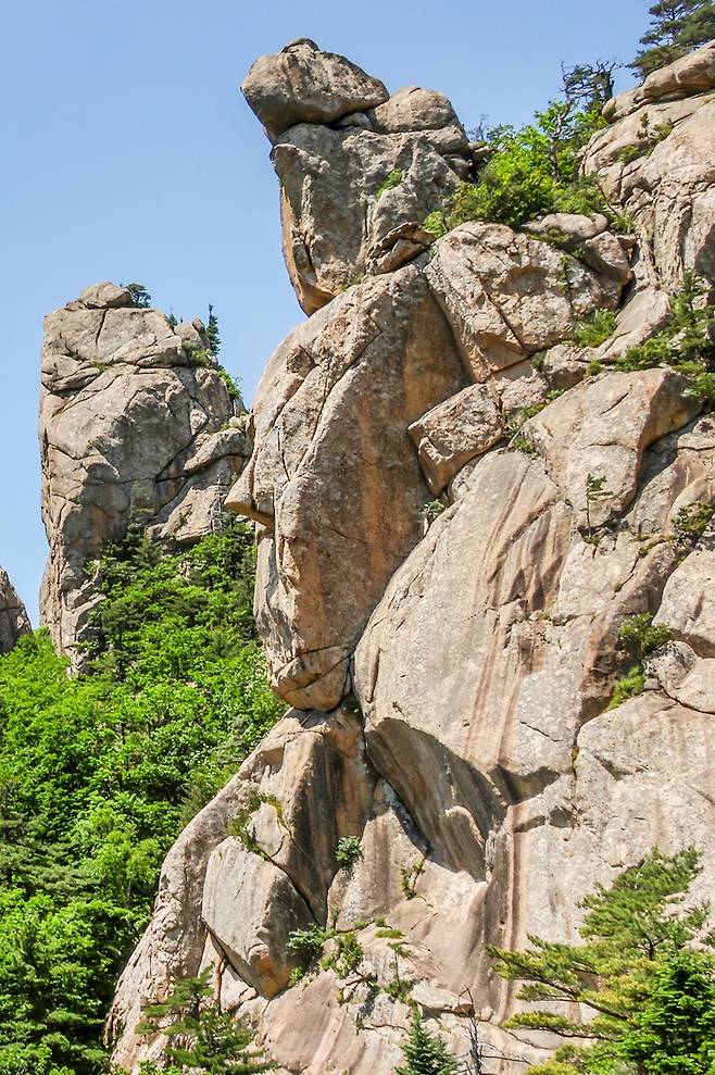 적멸보궁에서 바라본 천진석가여래상[사진/백승렬 기자]
