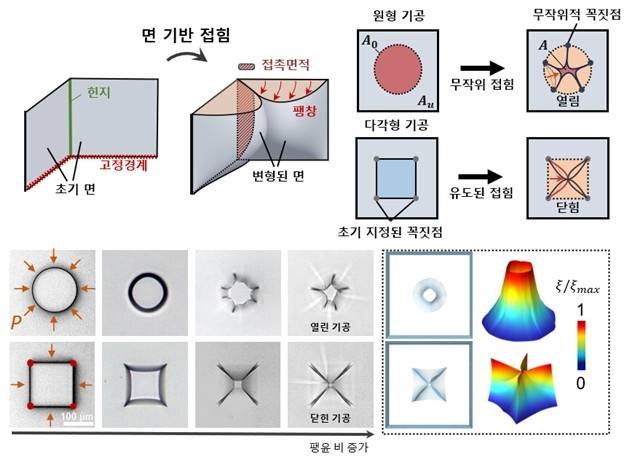 하이드로젤 미세 기공 작동원리 모식도 [윤현식 교수 제공. 재판매 및 DB 금지]