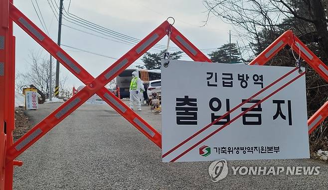 ASF 방역 ※ 기사와 직접적인 관계가 없습니다. [연합뉴스 자료 사진]