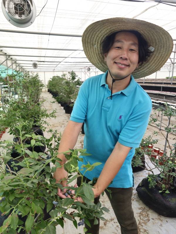블루베리를 수확하는 서성현 씨.