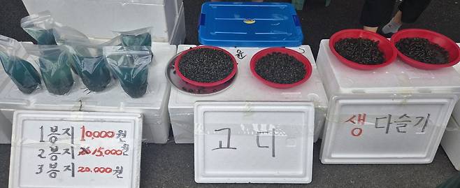 오천 오일장에서 생 다슬기를 파는 곳이 유일한 듯하다.