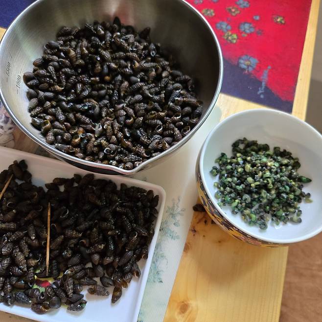 오천장에서 사 온 생 다슬기를 깨끗이 씻어 삶아 까는 작업이 힘들다. 까도 까도 깔 게 남아있다.