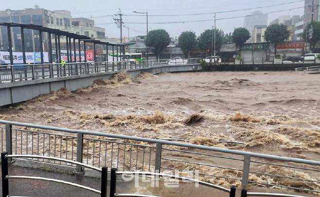 범람위기에 놓인 광주천 (사진=연합뉴스)