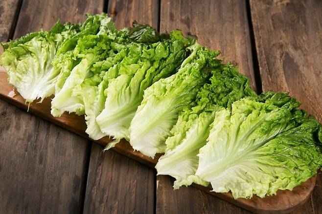 상추. [사진= 게티이미지뱅크]