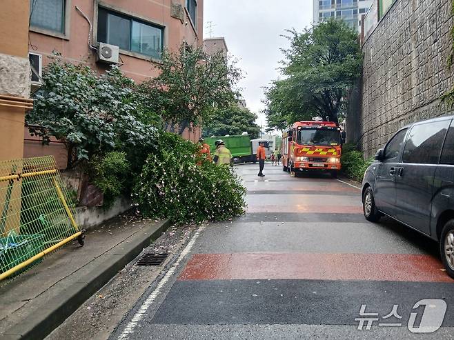 소방대원들이 쓰러진 나무를 수습하고 있다.(인천소방본부 제공. 재배포 및 DB금지)2025.7.17/뉴스1