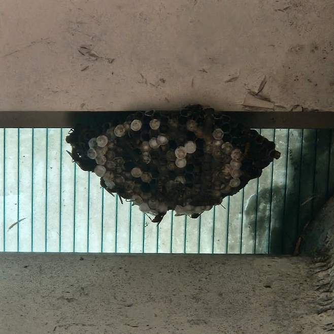 3fb8c32fffd711ab6fb8d38a4483746f32108a8ce354334886ba6cd78581ca1672471f62f30f5cad22490e5e