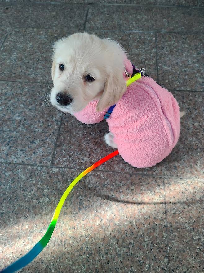 KakaoTalk_20250717_143301406_02.jpg 우리집 인절미 보고 가실래요?