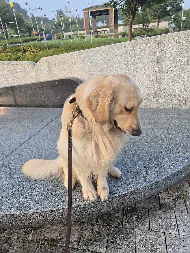 KakaoTalk_20250717_143937074.jpg 우리집 인절미 보고 가실래요?