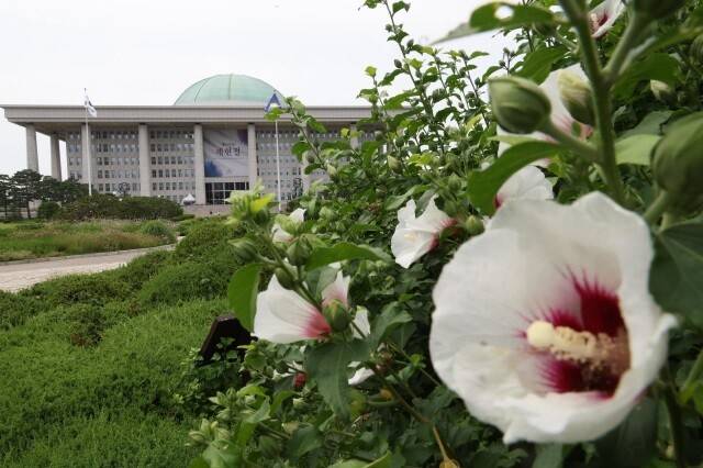 국가 발전이 지속되려면 헌법이라는 도그마를 견고하게 유지하는 것이 중요하다. 사진은 2023년 국회 본관에 설치된 제헌절 경축 현수막과 국회 잔디광장의 무궁화 꽃. 강창광 선임기자 chang@hani.co.kr