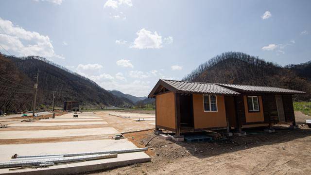 신흥리 임시주택 터. 배영락씨가 설치한 편백나무 건물 두 동이 옆에 자리하고 있다. 안동=남동균 인턴기자